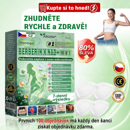 🔥 Speciální nabídka – ⚡sleva 40 % jen dnes! 🏥 𝐏𝐙𝐆𝐎𝐍𝐄® 10-in-1 nano mikrojihlová náplast 🍃 Podpora metabolismu · energie · rovnováhy ⏰ Nezmeškejte – přidejte do košíku nyní!