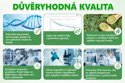 🔥 Speciální nabídka – ⚡sleva 40 % jen dnes! 🏥 𝐏𝐙𝐆𝐎𝐍𝐄® 10-in-1 nano mikrojihlová náplast 🍃 Podpora metabolismu · energie · rovnováhy ⏰ Nezmeškejte – přidejte do košíku nyní!